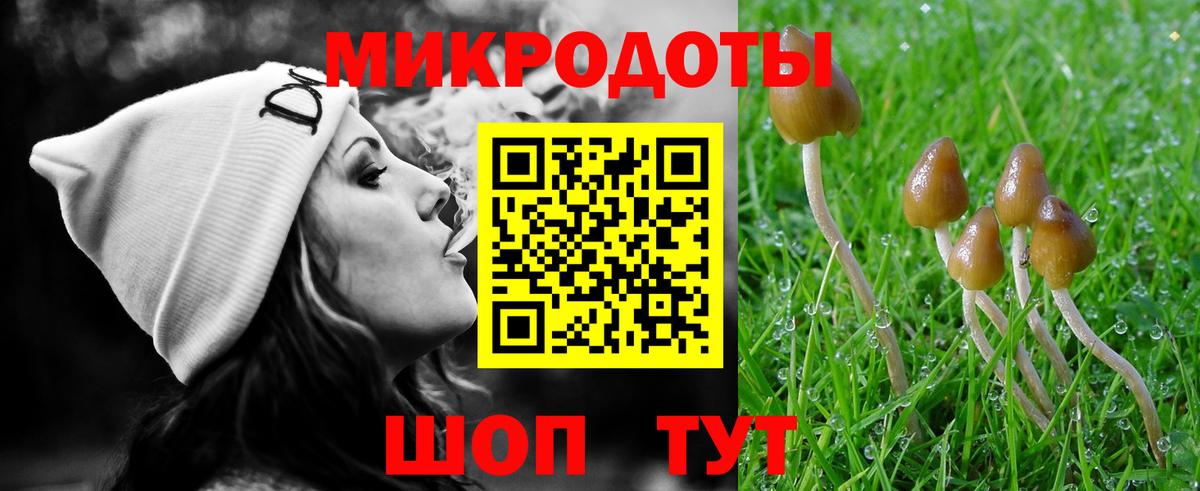 Галлюциногенные грибы прущие грибы Зима